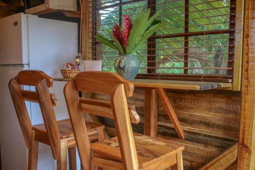 Log 33 in Saint Ann's Bay