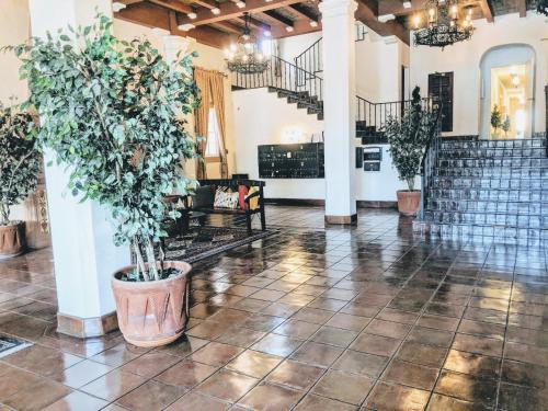 Casa Bonita Apartments - image 6