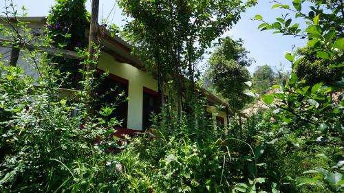 Photo of Swasti Yoga Farm Nagarkot