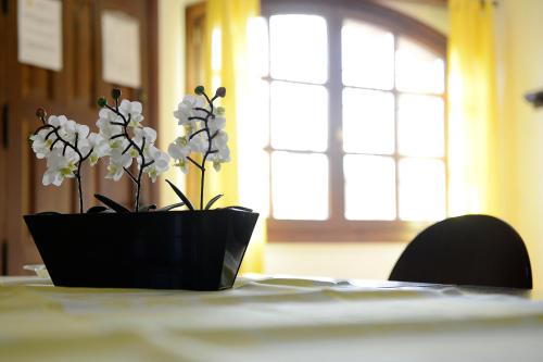 Apartamentos Bellavista 3