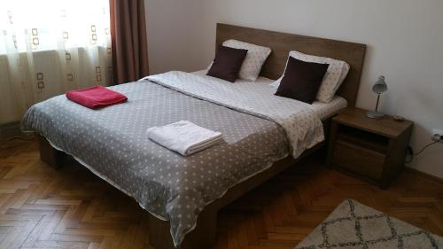 Apartament Lavinia in Călimănești