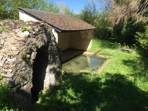 La Parisienne des Amognes