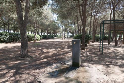 Basic Platja - image 7