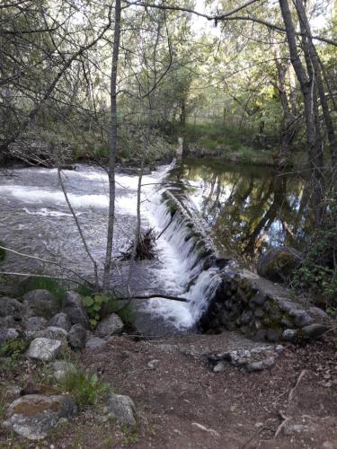 ORDINO 2 A in ราสคาเฟรีย