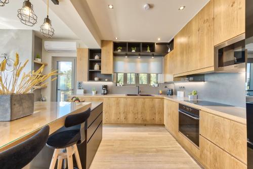 Pasithea Elegant Villa - image 10