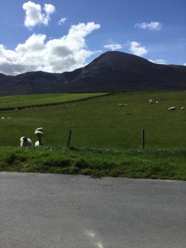 Croagh Patrick Hostel & Cottages