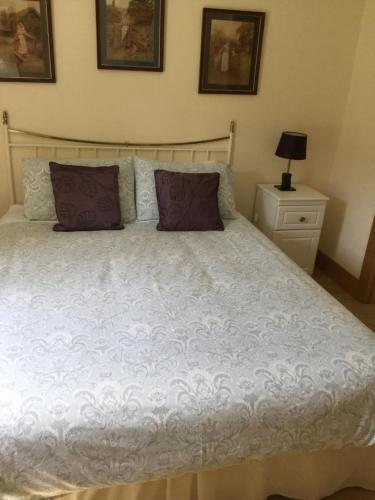 Croagh Patrick Hostel & Cottages