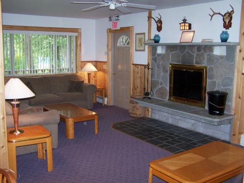 Slide Mountain Forest House - image 7