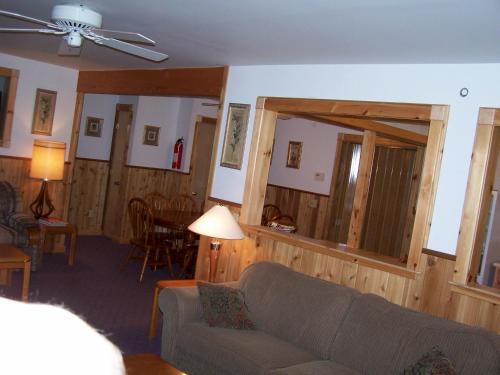 Slide Mountain Forest House - image 8