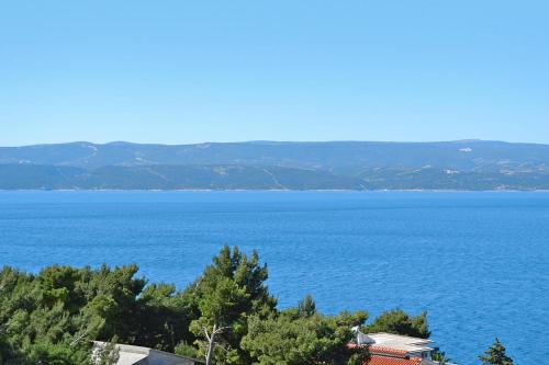  Apartments in der Villa Marin Omis-Stanici - CDM05001-SYA in Čelina