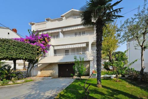  Apartments Bepina Novalja - CIN04079-DYB in Novalja