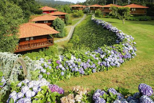  Holiday homes Quinta das Eiras Santo da Serra - FNC02016-FYB, Unterkunft in Santo da Serra