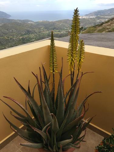 Karpathos Guest House