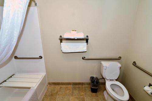 Cobblestone Inn & Suites - Holstein - image 2