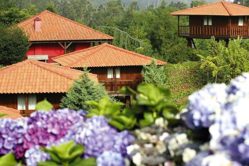  Holiday homes Quinta das Eiras Santo da Serra - FNC02016-FYA in Santo da Serra
