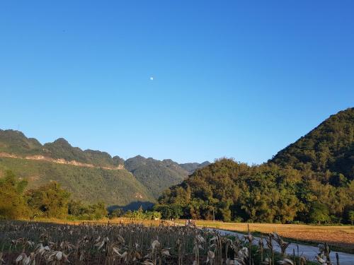 Mai Chau Home