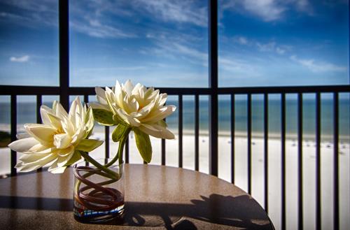 Two-Bedroom Suite - Beachfront image 2