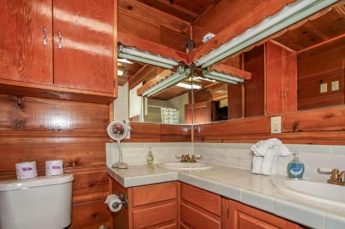 Pine Forest Cabin - image 3