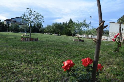 Tenuta Ferrara