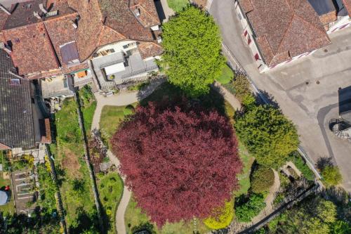 Magnifique maison vigneronne avec grand jardin