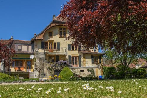 Magnifique maison vigneronne avec grand jardin