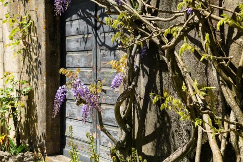 Magnifique maison vigneronne avec grand jardin