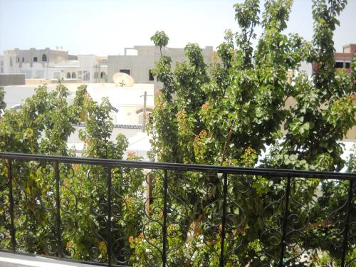 Dar El Amen Appartements