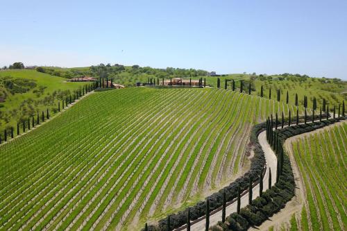 Aterno Estate & Vineyard, Main House & Guest House