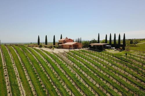 Aterno Estate & Vineyard, Main House & Guest House