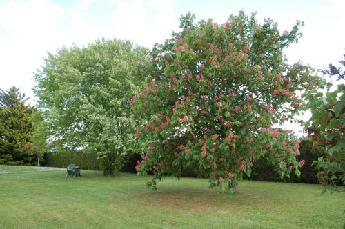 Gite Les Coquelicots