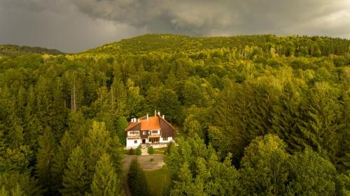 Kormos Residence - Accommodation - Brăduţ