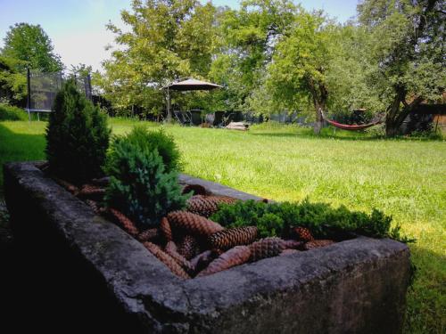 Pensiunea Balea Sat - image 8