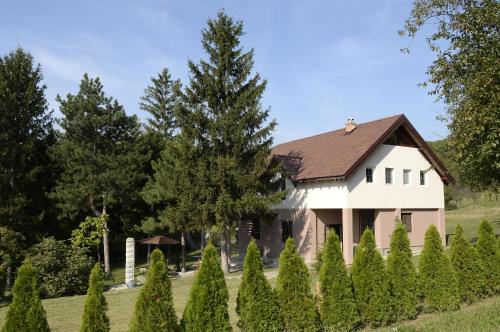 A szálláshely kívülről, Vila Davidovic-Fruska gora in Jakovo