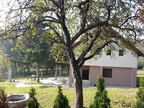 A szálláshely kívülről, Vila Davidovic-Fruska gora in Jakovo