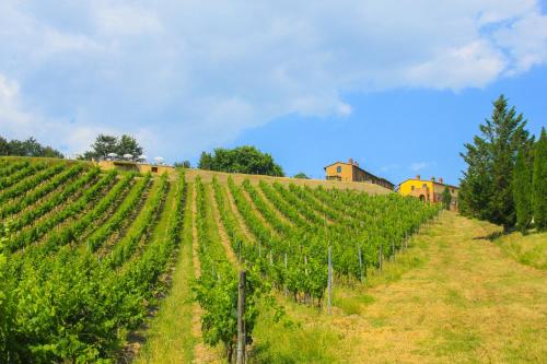 Colle Bertini - image 4