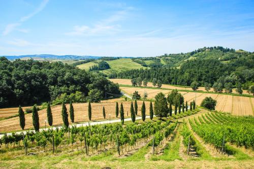 Colle Bertini - image 2