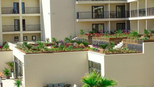 Hotel Paradiso Garden - image 14