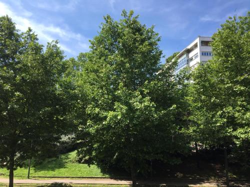 APARTHOTEL CASA MIA - image 5