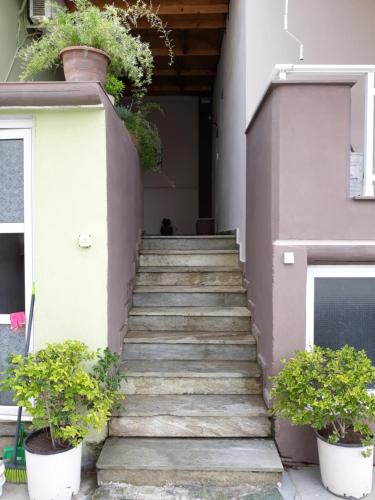  Villasartios in Sarti