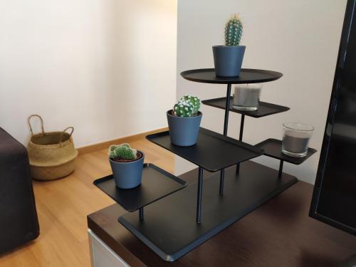 Unique apartment in Málaga city center with pool, Málaga (fotografie 7)
