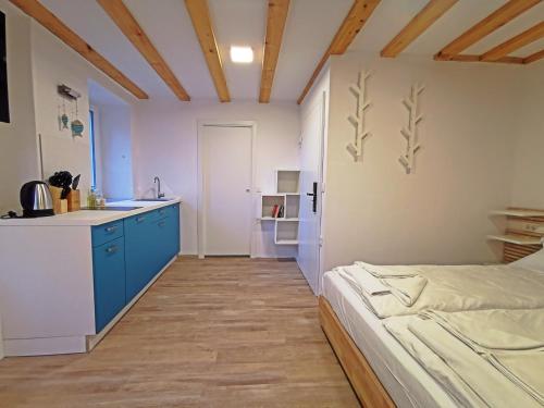 Ribiška hiša - Old Piran Fisherman's House