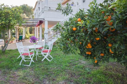 Garden, Villa Lago Sol in Torrevieja