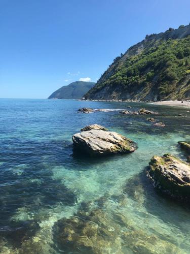  BREZZA DEL CONERO in Ancona