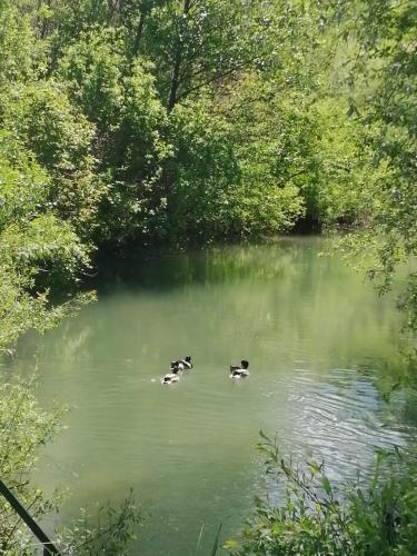 River Bank Apartments & Castle view - Location saisonnière - Bihać