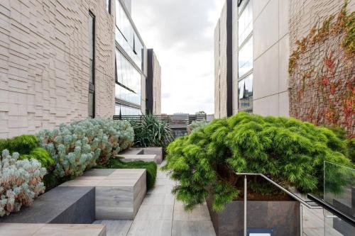BHB Sleek Collingwood - image 2