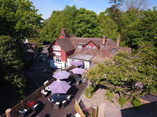 Red Lion & Cellar Room Pub Hotel - image 12