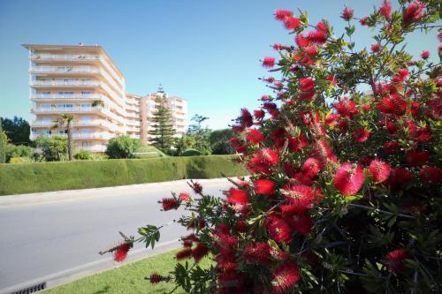 Apartamentos Creu de Sant Pol 2 Habitaciones - image 10