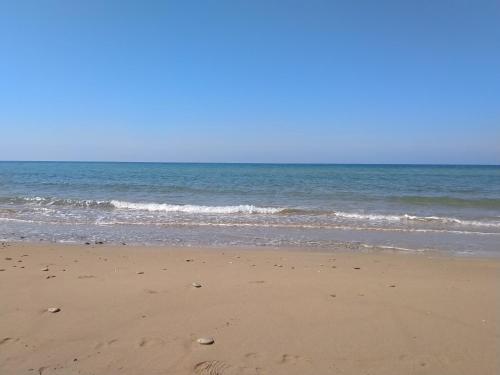  Villa Maria 200 meters from sandy beach (Chalikounas/Halikounas) in Halikounas
