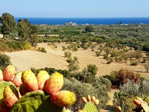  Casale Ciavola, Pension in Ardore Marina bei Natile