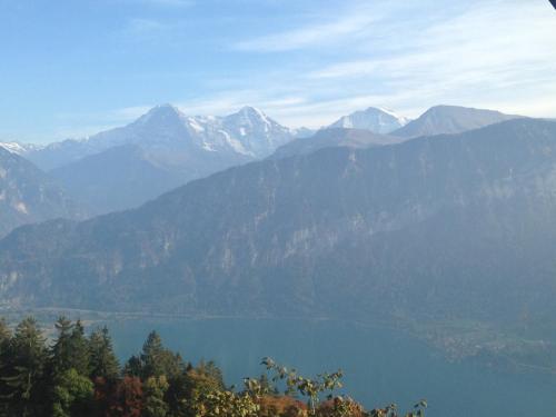 App. Seeblick Top of Interlaken - image 3